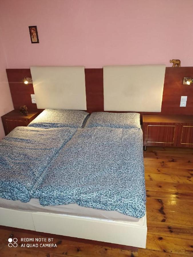 Penzion u Lípy Decin Esterno foto