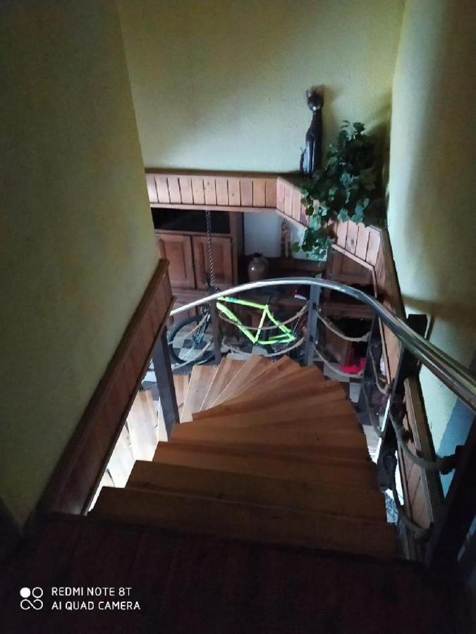Penzion u Lípy Decin Esterno foto