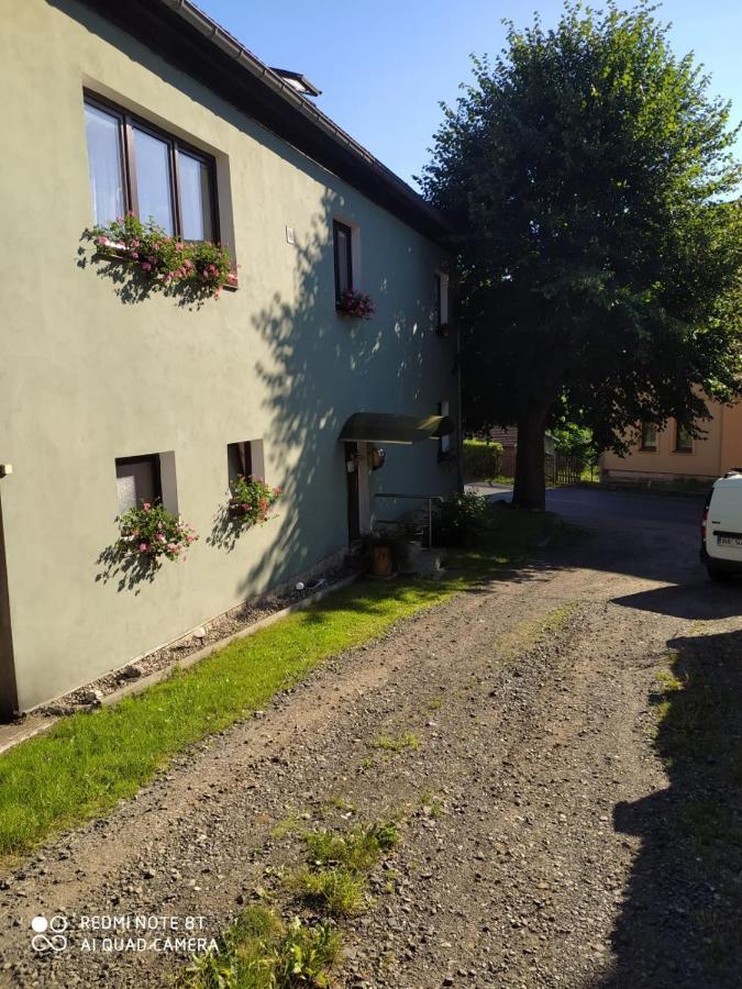 Penzion u Lípy Decin Esterno foto