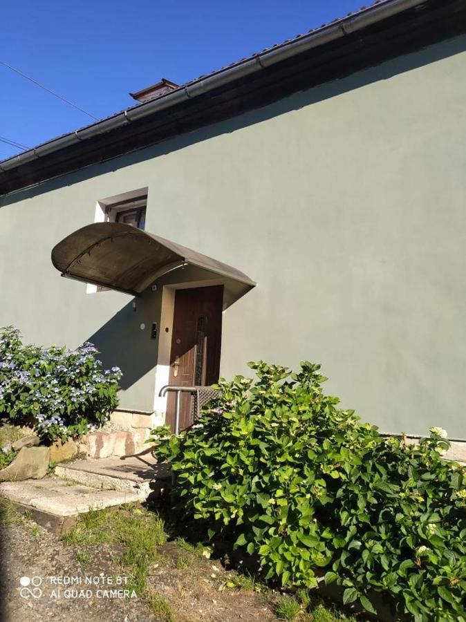 Penzion u Lípy Decin Esterno foto