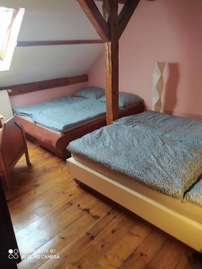 Penzion u Lípy Decin Esterno foto